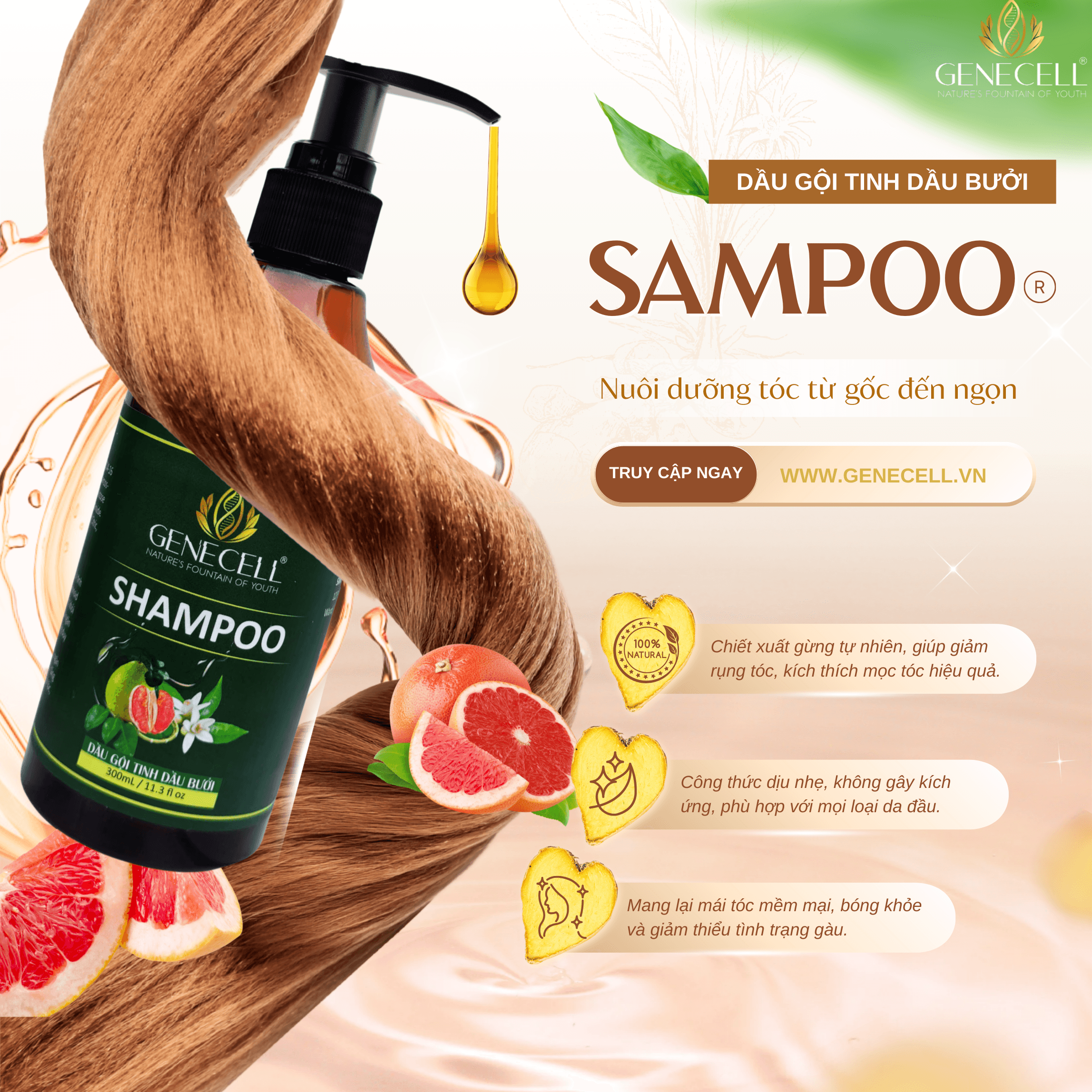 G.shampoo