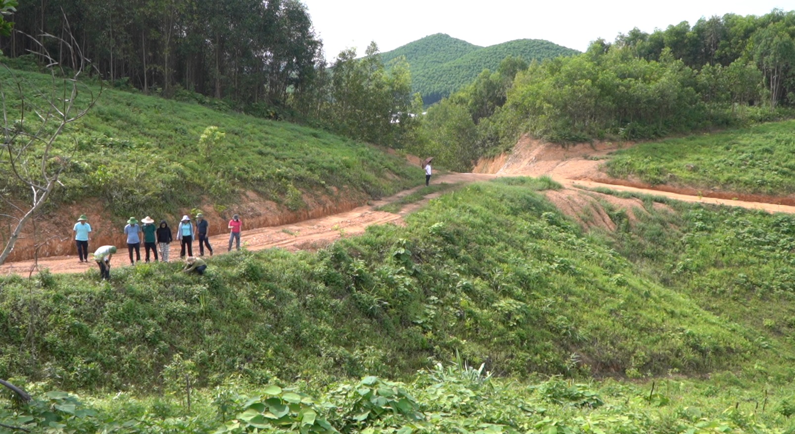 video khu thao duoc 03