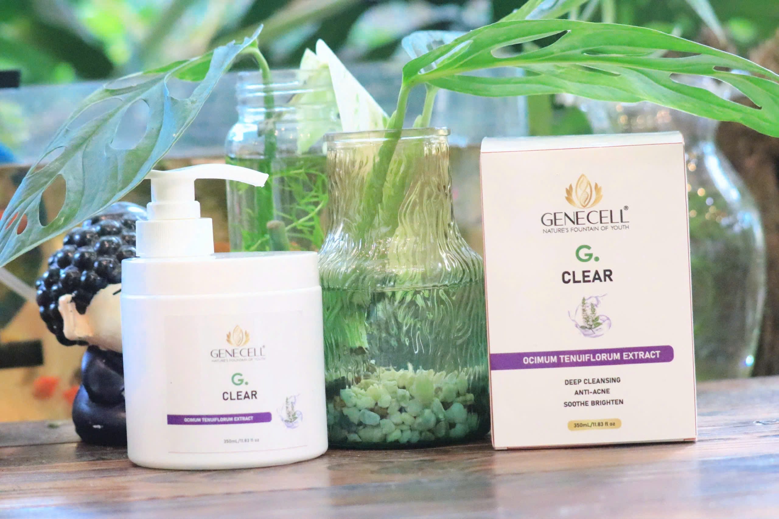 G.Clear 350l 03
