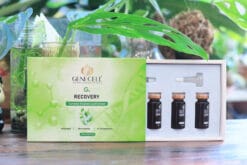 G.Recovery 04