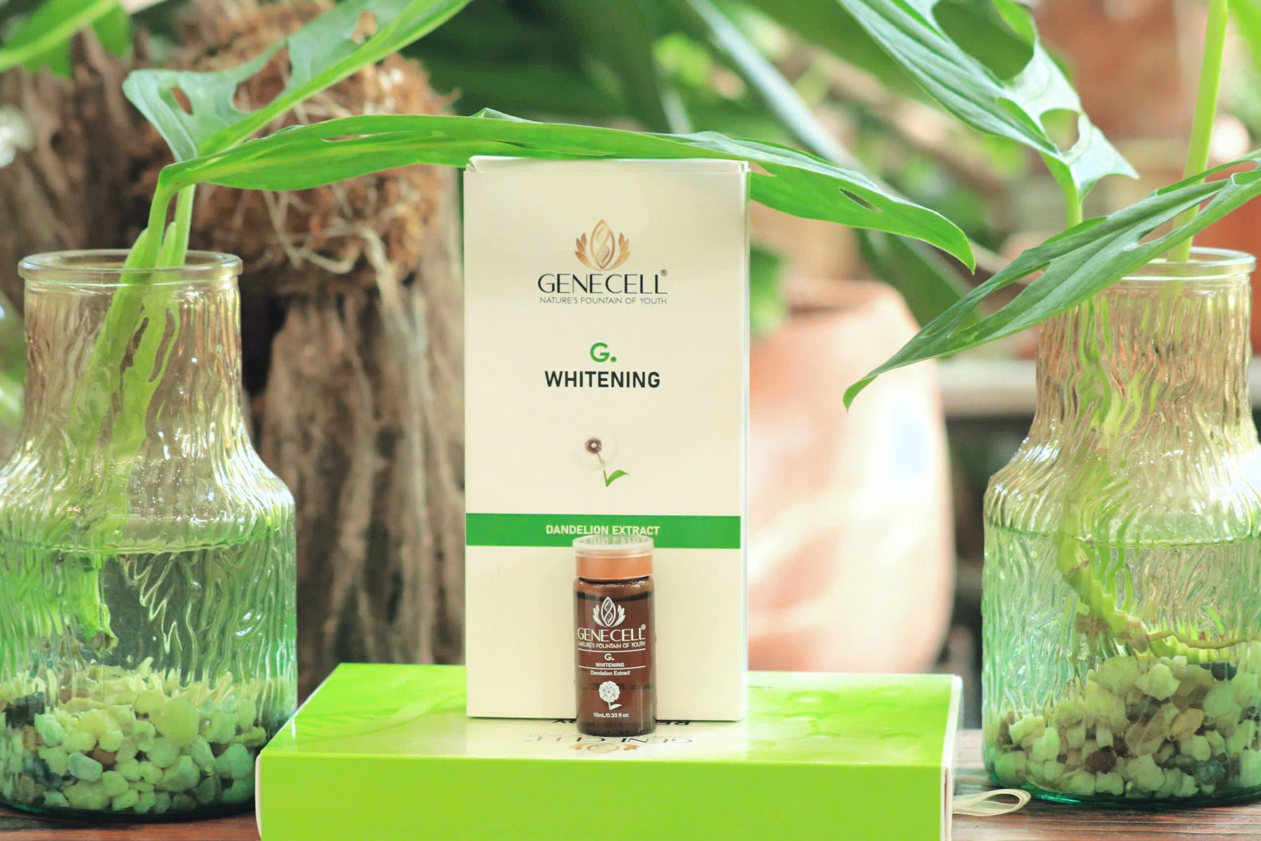 G.WHITENING</br> Nhũ dịch sáng da - Ảnh 2