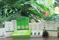 G.WHITENING</br> Nhũ dịch sáng da - Ảnh 3