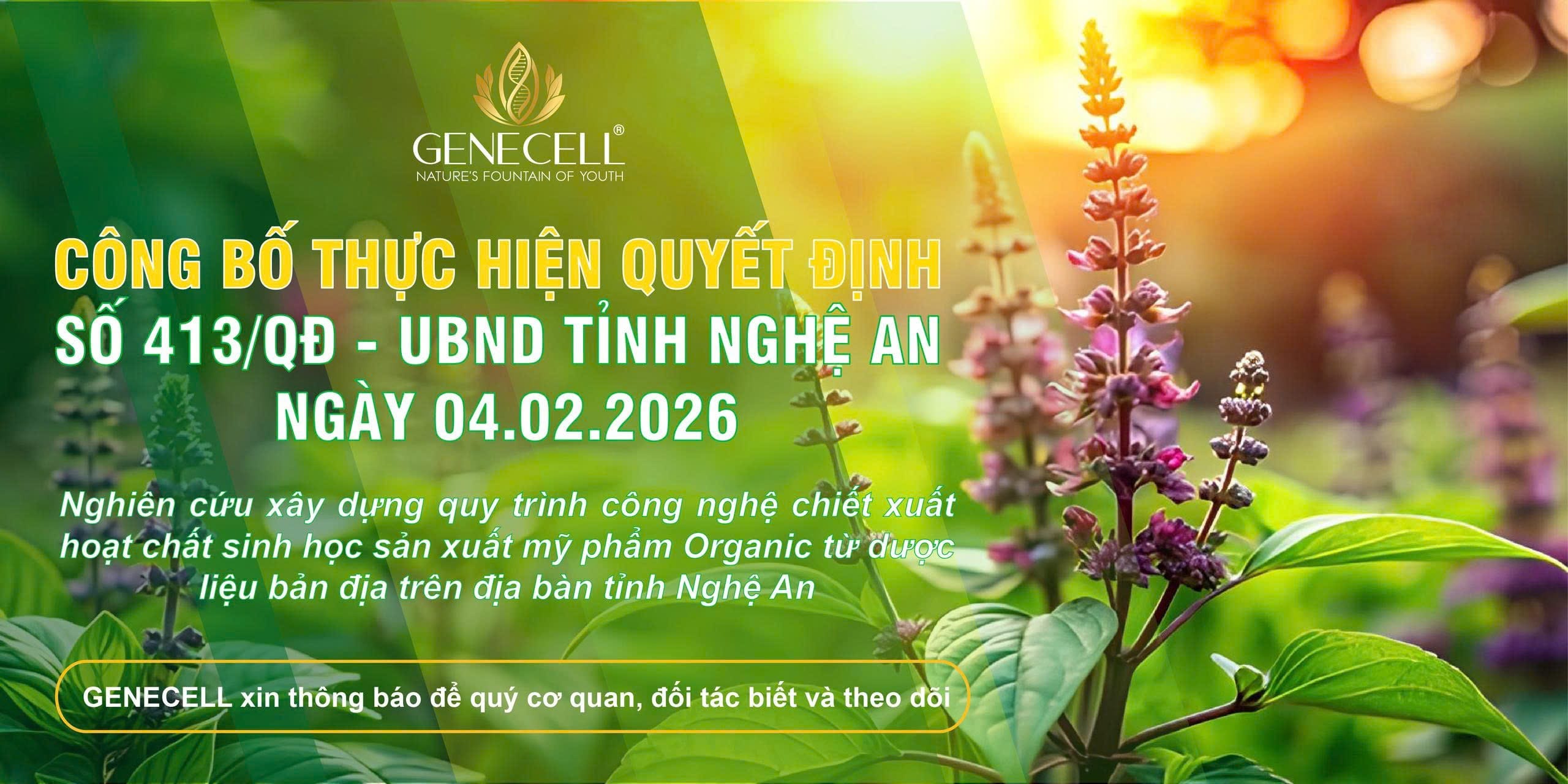 quyet dinh 413