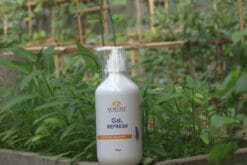 Genecell GSL. Refresh - Ảnh 2